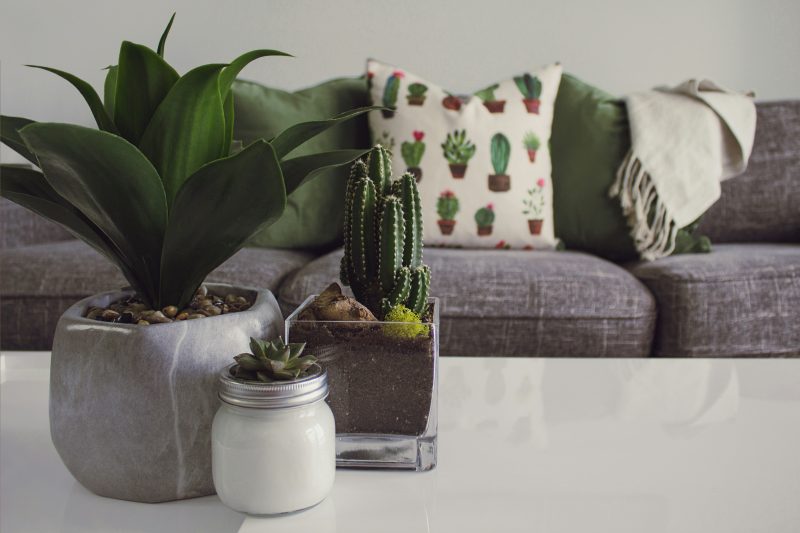 Comment épater vos invités avec une décoration de table à couper le souffle pour vos dîners d&rsquo;été ?